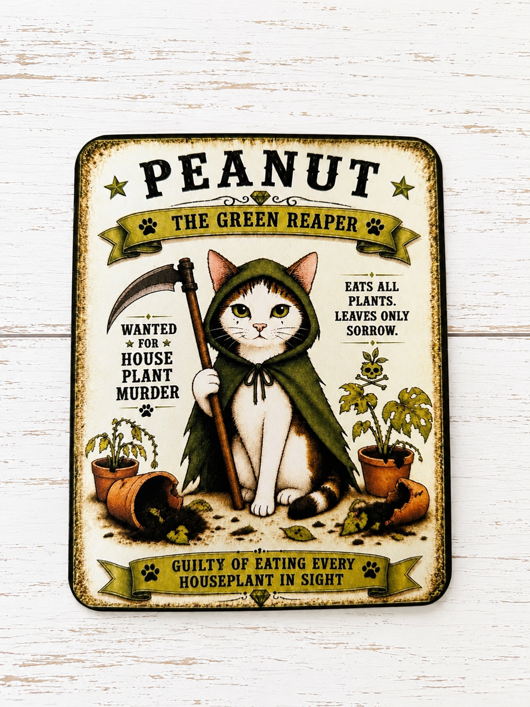 Personalised Cat Crimes Badge & Character Card – Premium Boss Edition - Image 2